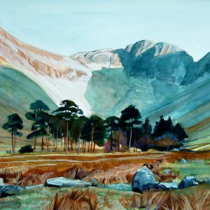 Warnscale Bottom Buttermere